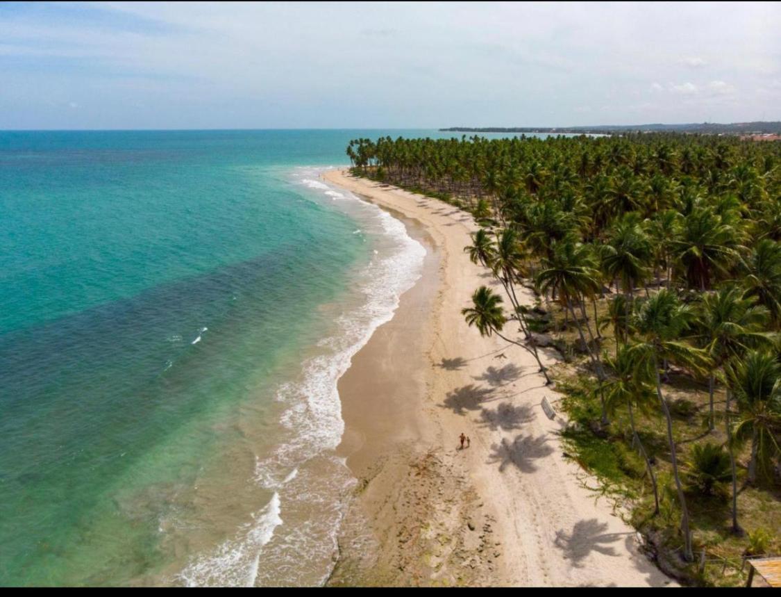 Praia Dos Carneiros Eco Resort Luxuoso Tamandaré エクステリア 写真